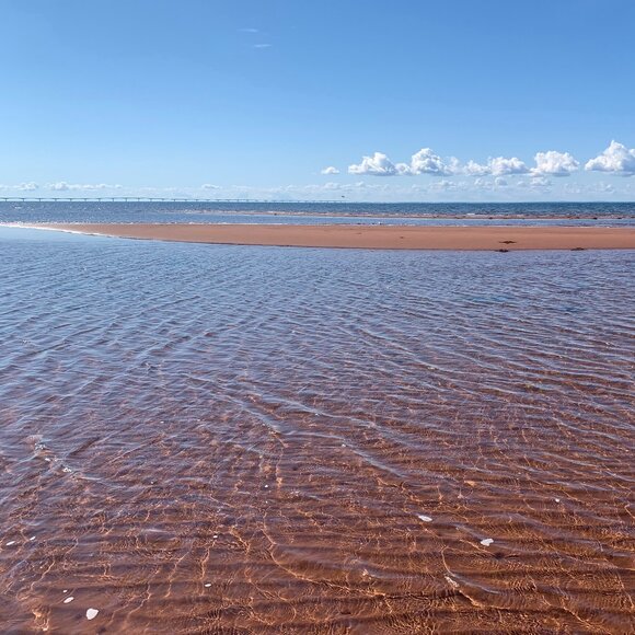 Meet your Posher, Rose - Picture 1 of 1